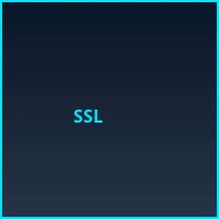 SSL银行级加密认证 - pp电子